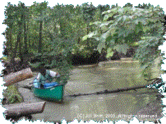 Marc McCord exploring Bayou deView