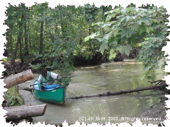 Marc McCord exploring Bayou deView