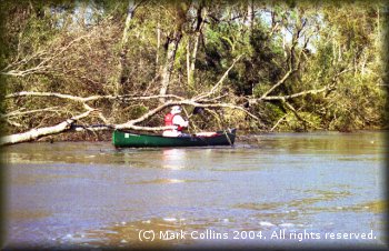 Gail Shipley paddling Village Creek