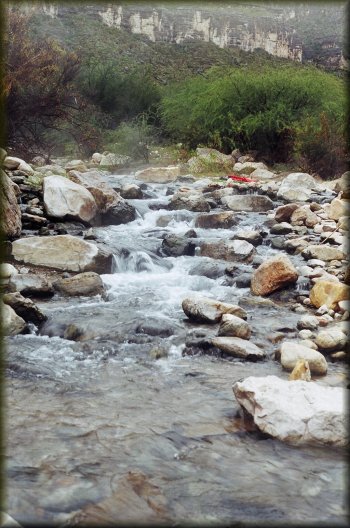 The hot springs beside our campsite