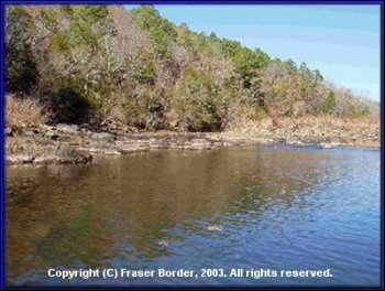 The tree-lined Lower Kiamichi River