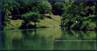 The serene Upper Guad at Curry Creek in springtime